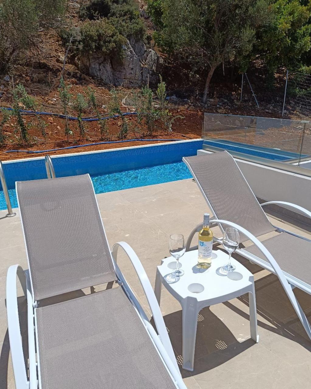 Isabel Artemis Crete - Luxury Sea Views Villas Nopigia Buitenkant foto